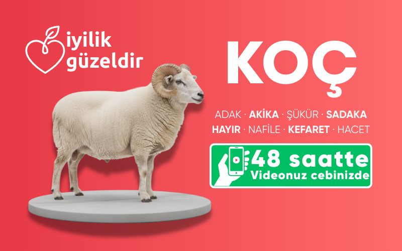 Koç